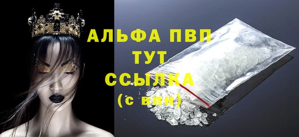 стафф Алексин