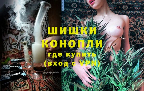 PSILOCYBIN Алексеевка