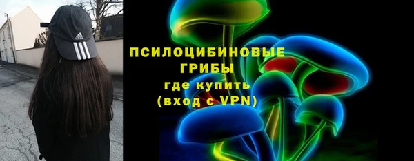 дживик Абинск