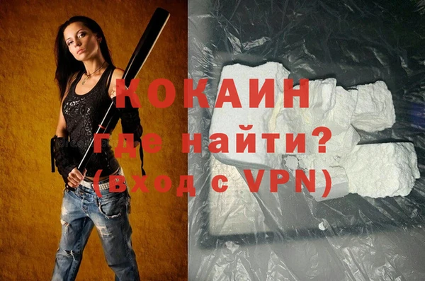 стафф Алексин