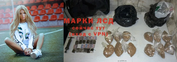 стафф Алексин