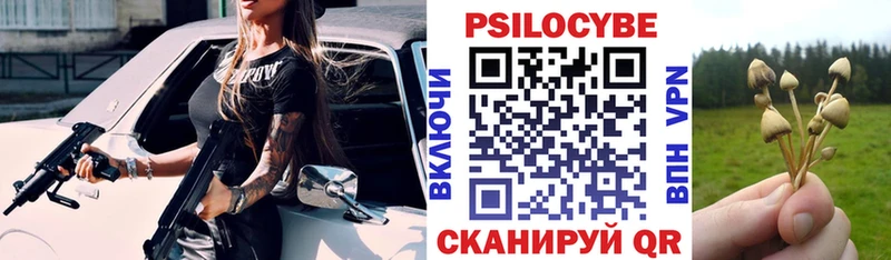 Псилоцибиновые грибы мицелий  дарнет шоп  Гагарин 