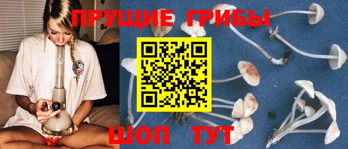 Псилоцибиновые грибы мицелий Гагарин